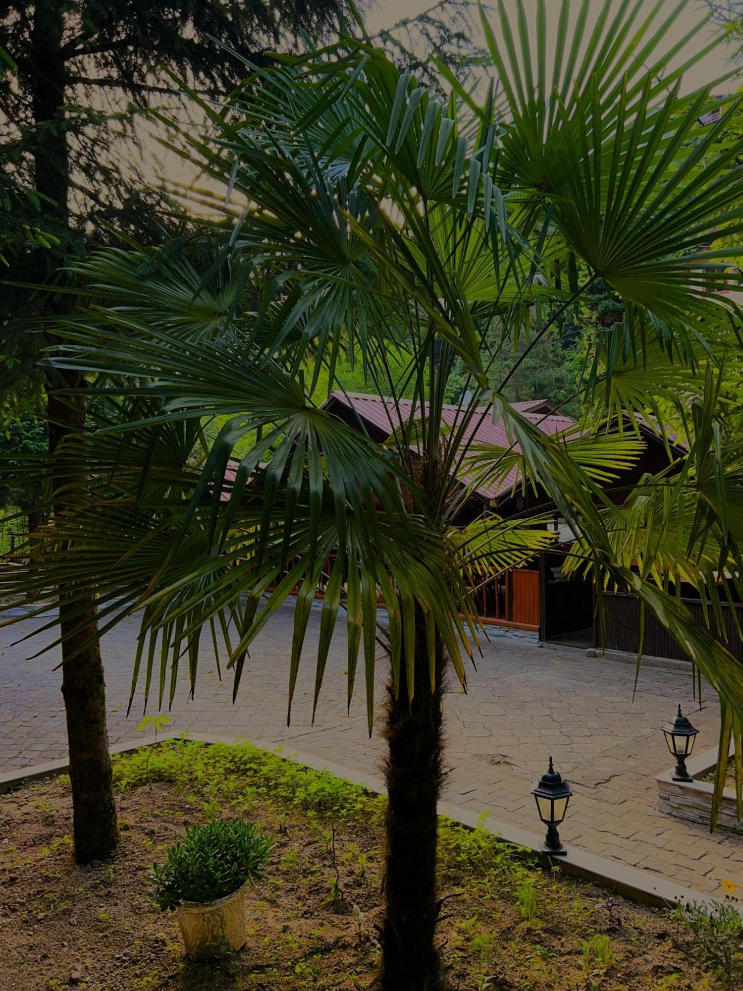Isikli Kale Hotel Caykara Zewnętrze zdjęcie